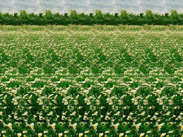 看三维立体图片有没有好处,看三维立体图能看到什么