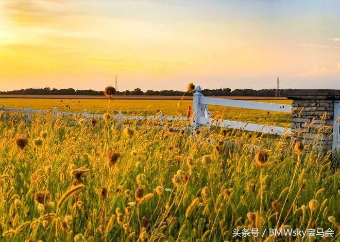 瀹濋┈m4杞︿富鏃ュ父,瀹濋┈i440杞︿富鐪熷疄浣撻獙
