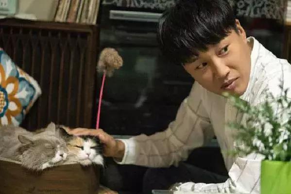 慎点电视剧,慎点电影深度解析