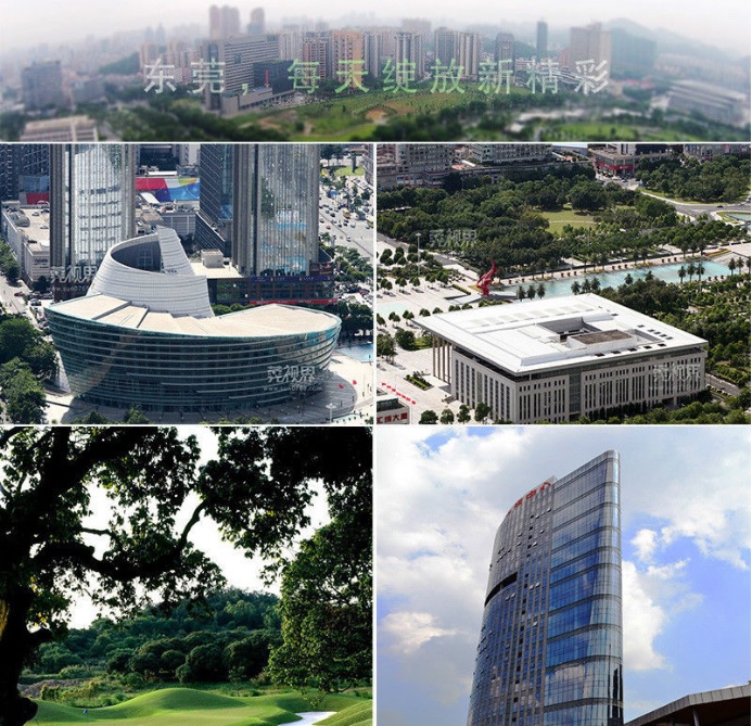 东莞招商引资哪家强2019,东莞育肥牛招商信息