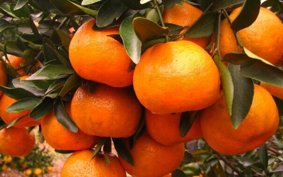 张家界旅游攻略秋天美景,张家界秋天旅游攻略图