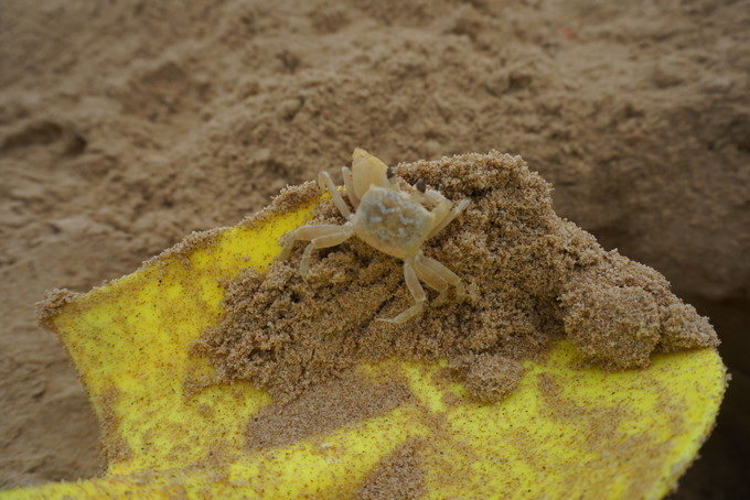 美丽的三亚蓝天白云,三亚蓝天白云美景