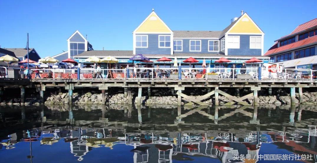 看我72变百变字母秀,看我72变改编