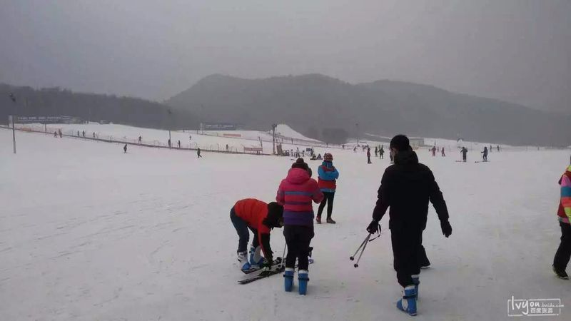 沈阳市东北亚滑雪场,沈阳东北亚滑雪场门票