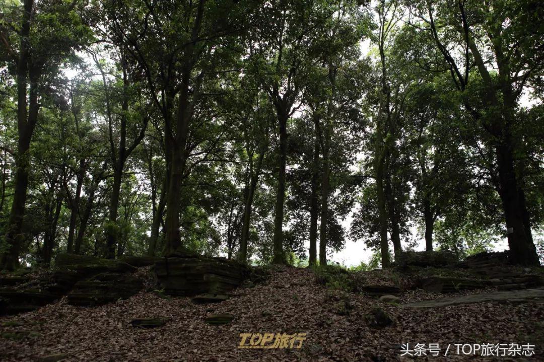 湖南悬崖上的苗寨,秘境湘西张家界