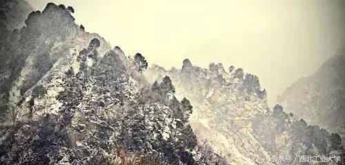 西工大黑科技丨一片竹叶,让他们做出了“飞机贴膜”