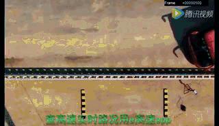 一家四口在车上的歌,一家四口在车上