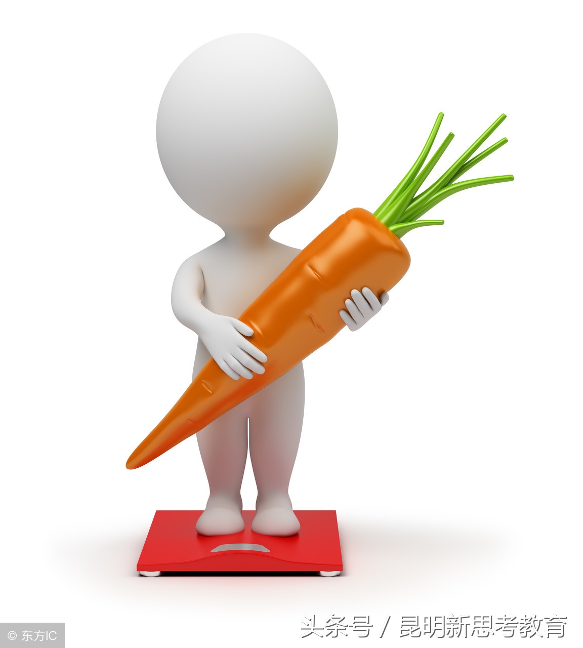 2020年小升初必考的成语,小升初成语专项训练题