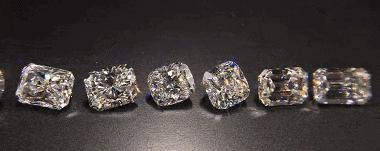 进口博览会时间和地点,进口博览会参观全攻略