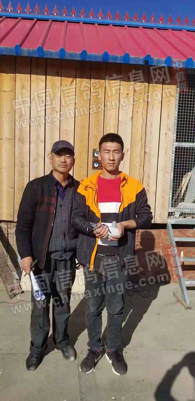 独家首发：宁夏国家赛三万羽总冠军照片