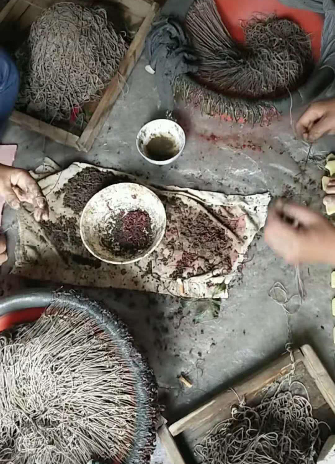 诱捕甲鱼的方法,诱捕野生甲鱼的最快方法视频