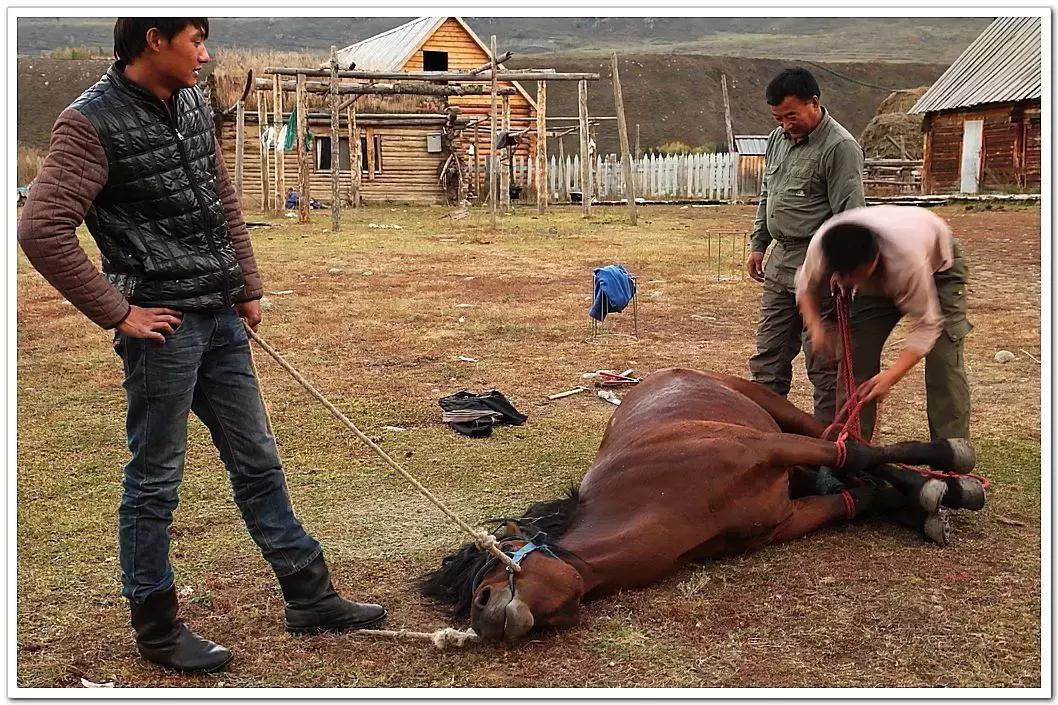 宋朝那么厉害为什么还会被打掉,宋朝历史真的很强吗