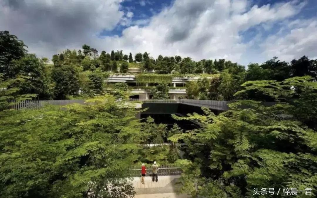 浦东与新加坡人口密度,新加坡面积与人口密度