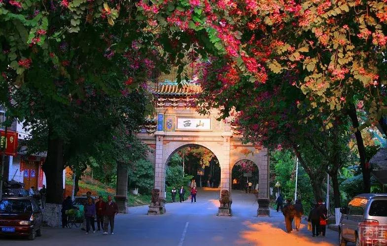 对不起我要去珠海买房,对不起我要去刺猹了