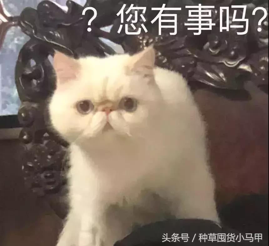 拒绝假货坚决严查一查到底,怎么应对假货打假