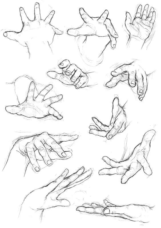 老孙快画素描入门零基础教程,零基础素描画画教程