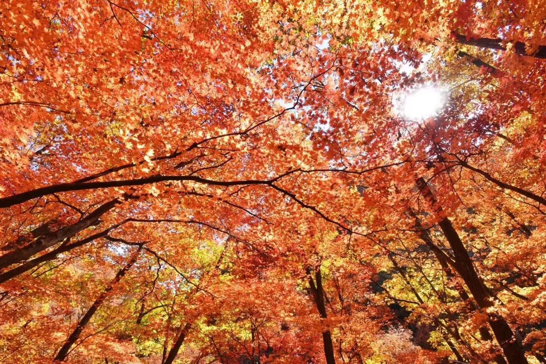 安利贴好物,安利宝藏贴纸