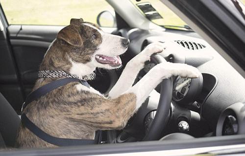 以租代购零首付购车套路,以租代购零首付买车能不能断供