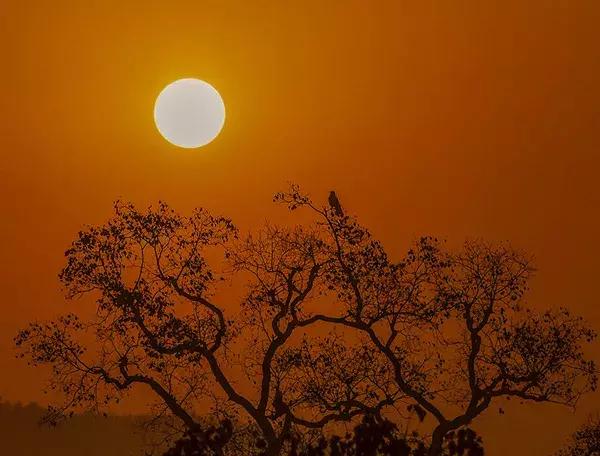 大悟,一个和婺源相媲美的地方,等了一整年的最红秋色终于来了!