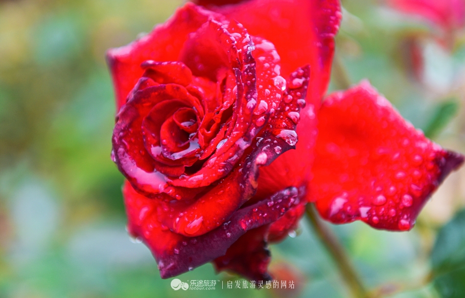 天下黄土第一塬甘肃庆阳,地球上黄土最厚的地方