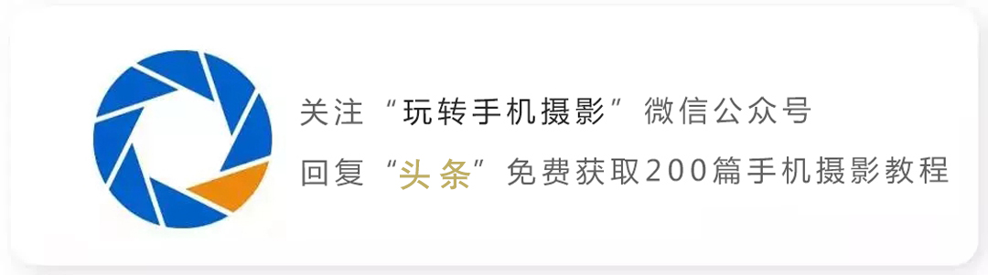 手机也能拍出黑背景，在家就能拍出摄影棚的感觉