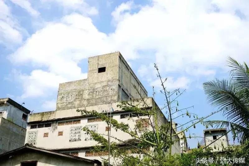 喜窝食品,喜窝窝燕窝