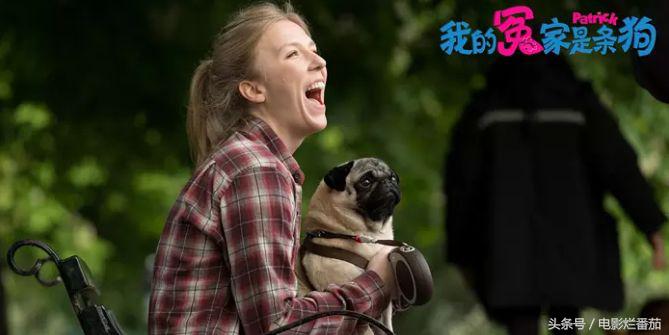 十一月这份片单,我敲锣打鼓的告诉你