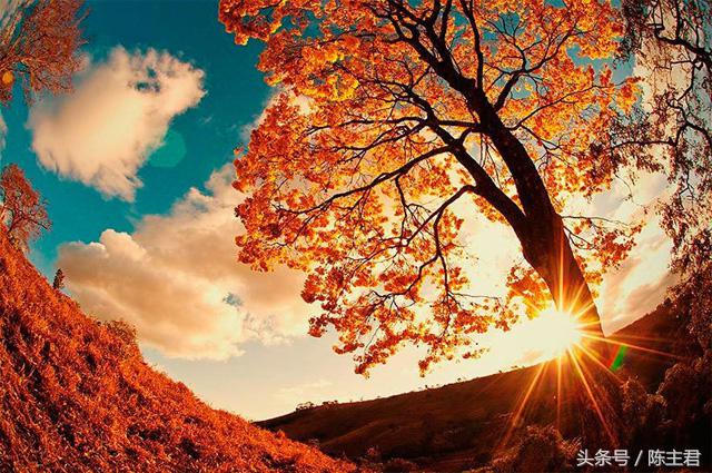 70张让人大开眼界的照片,50张让人惊艳的照片