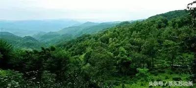 普洱山头茶价格排行,云南普洱最全30有名山头茶