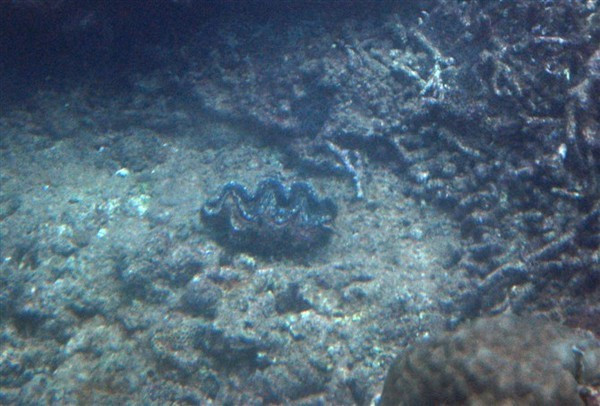 我们的蜜月之旅三亚旅行详细攻略,三亚自由行15天旅游攻略