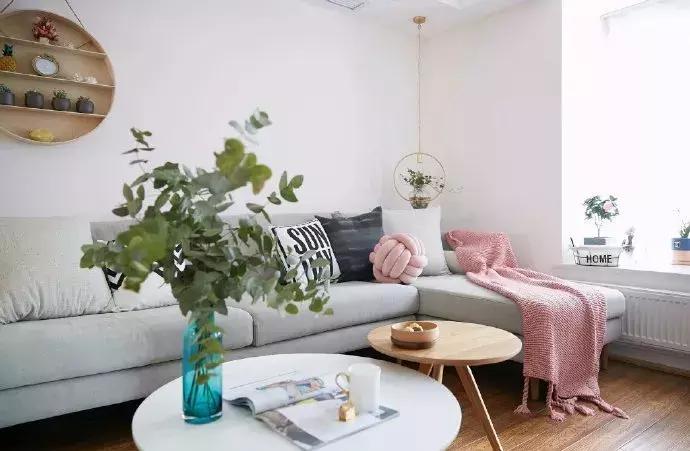 田园绿风格装修,生态绿缸怎么搭建