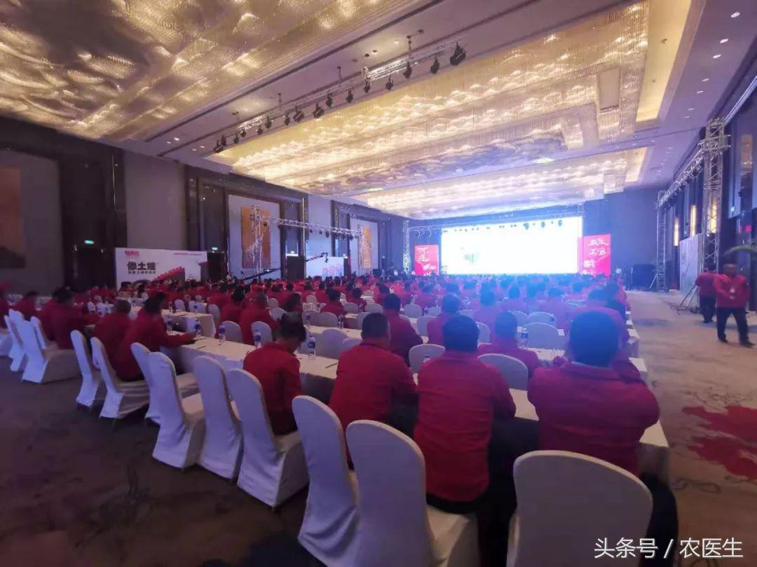 改良土壤的肥料是否有市场前景,使用什么肥料让土壤变得肥沃改良