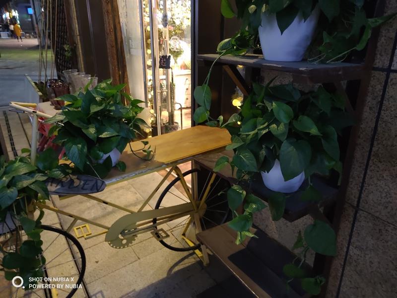 努比亚x的lcd是什么水准,努比亚最大屏手机