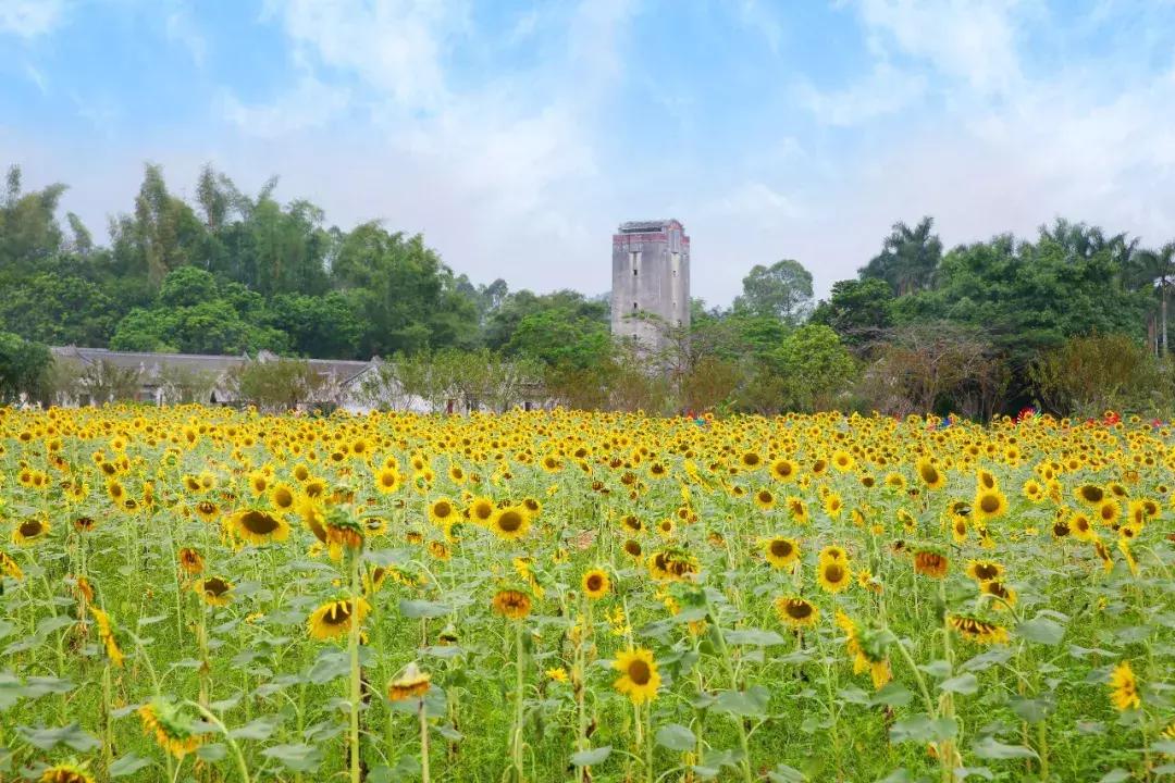 深圳向世界发出邀请,向世界推介深圳