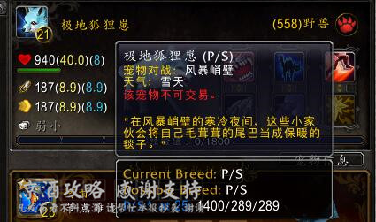 魔兽世界好用的技能监测,魔兽世界实用技能