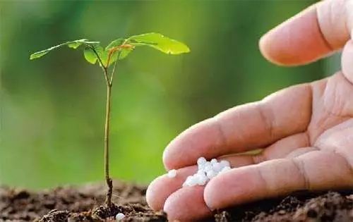 无土栽培在蔬菜方面的国外现状,现代农业蔬菜无土栽培