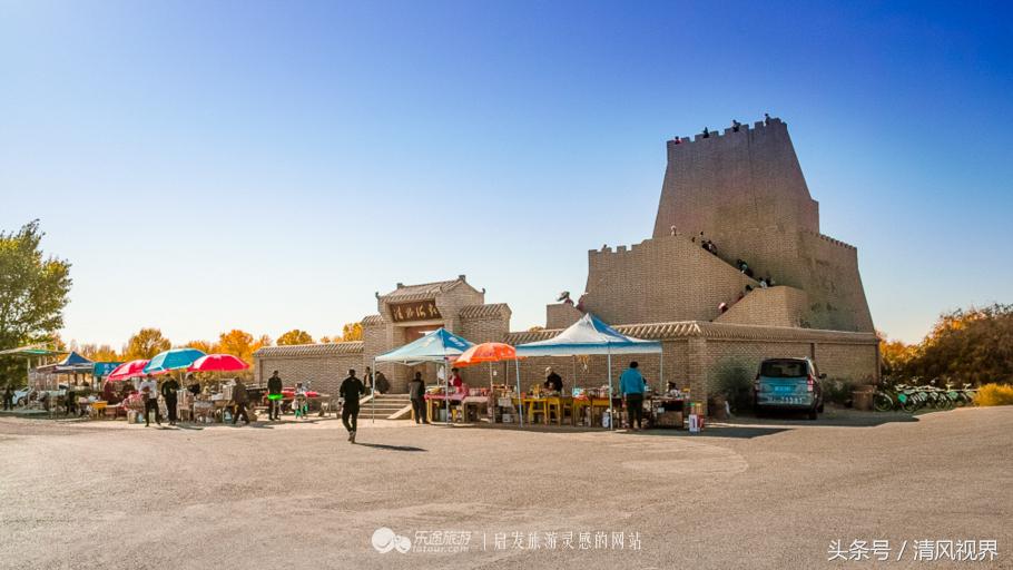 千年的等待纯音乐,金塔胡杨林美照