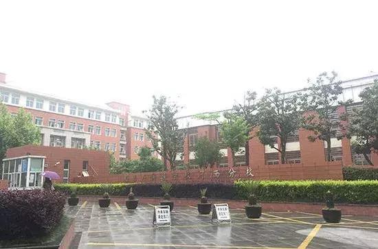 南京市国际贵族学校,南京土豪小学排行榜