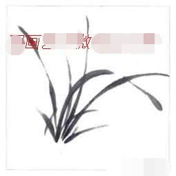 写意兰花的基本画法视频,写意兰花的画法技法视频