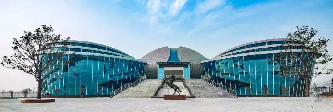 这个季节韩城的花椒是最美的风景,韩城冬季好玩的免费景点