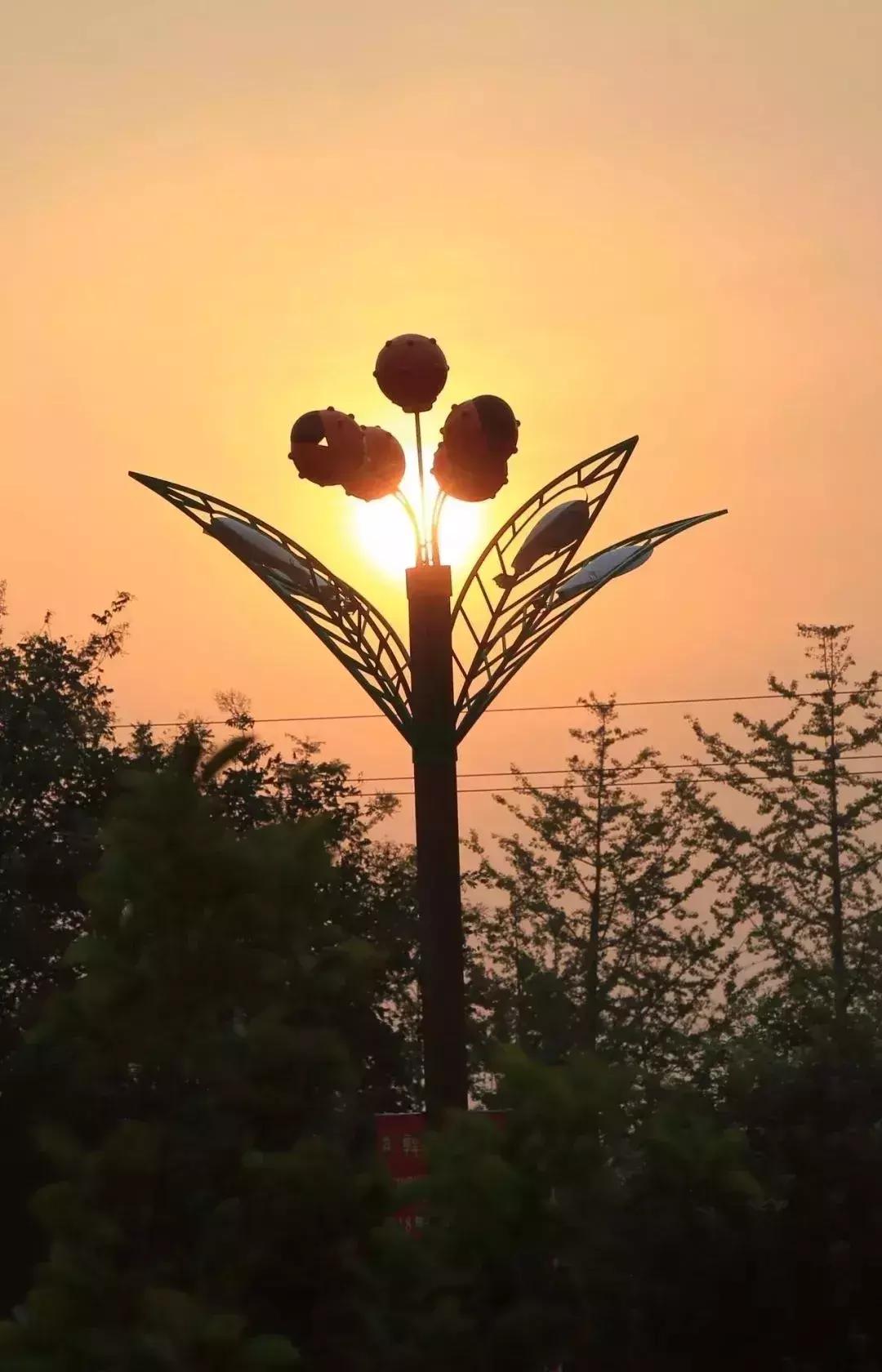 这个季节韩城的花椒是最美的风景,韩城冬季好玩的免费景点