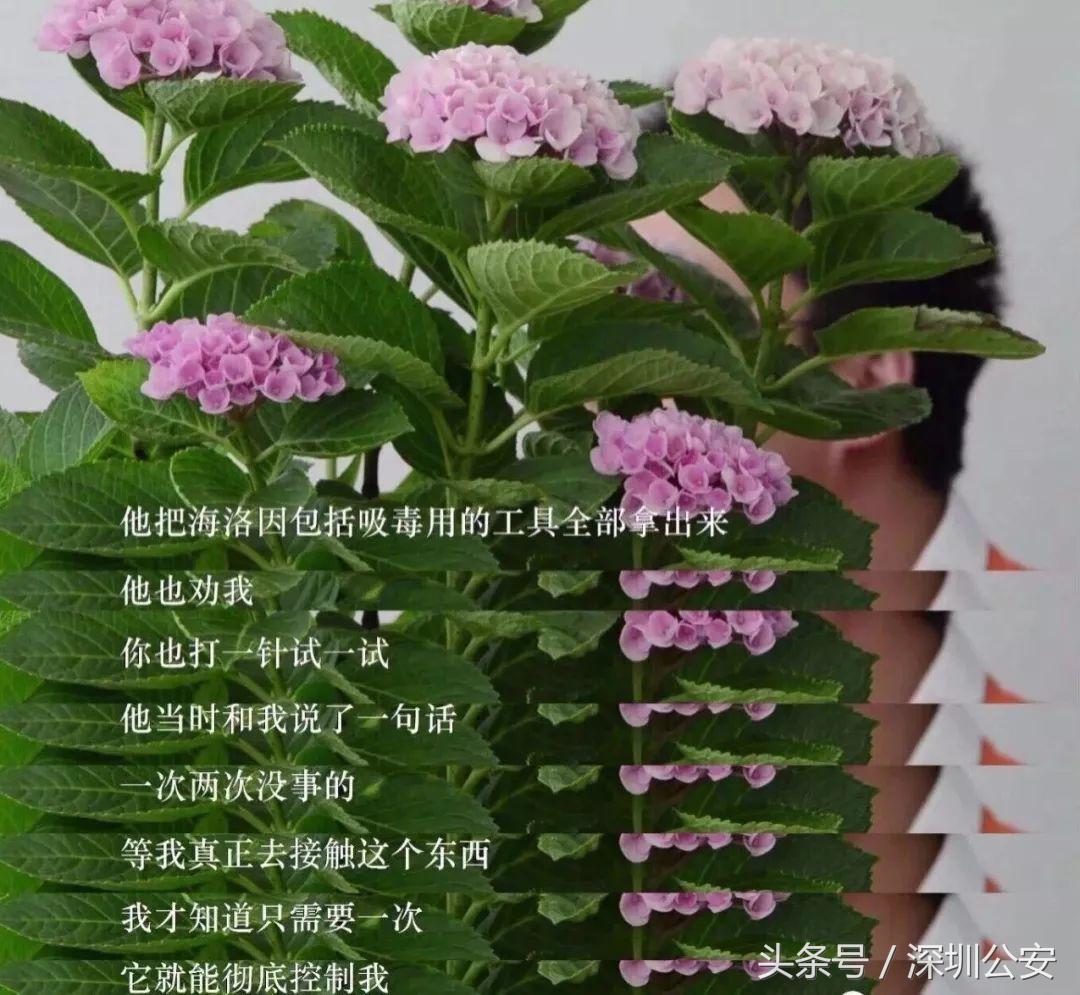 禁毒知识知多少答案,禁毒富翁