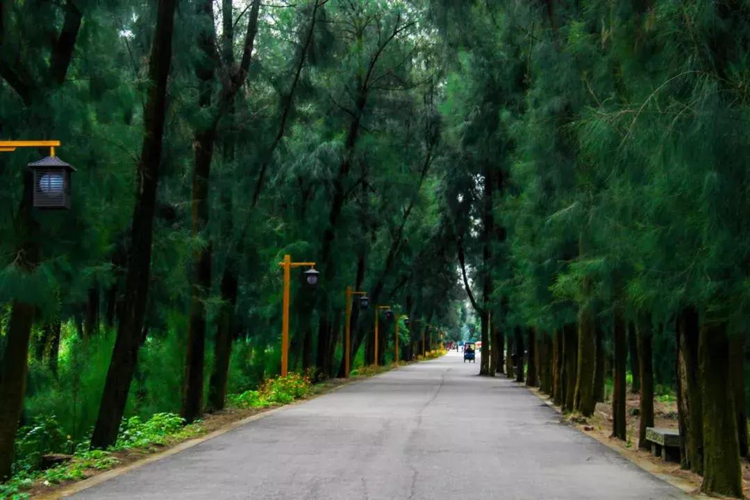 娴欐睙鍙板窞瀹濊棌鐢峰,鍙板窞瀹濊棌鐢风敓