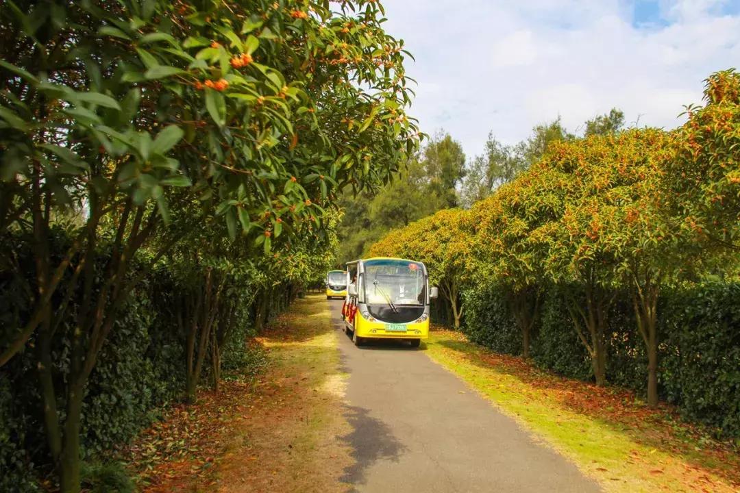 娴欐睙鍙板窞瀹濊棌鐢峰,鍙板窞瀹濊棌鐢风敓