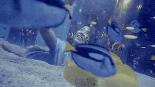 style鐜板満鐗堝浼﹀ (鐧惧彉澶氫鸡澶歴tyle)