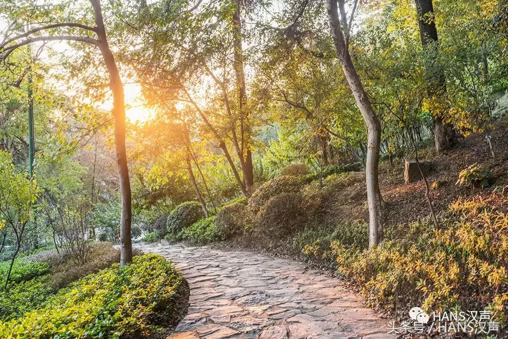 HANS城报｜喜茶开业星巴克外卖来了！11月武汉这些地方值得去浪