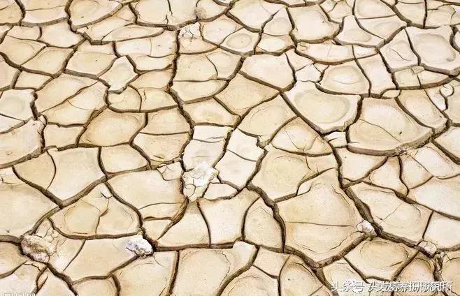 去头皮屑是控油还是去屑,去头屑用硫磺还是康王