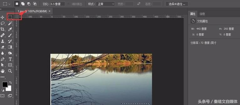 如何去除图片中水印最简单的方法,图片如何去掉水印最快最有效
