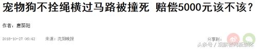 没拴绳的狗被车撞需要赔偿么,没拴狗绳的狗被车撞了负责吗
