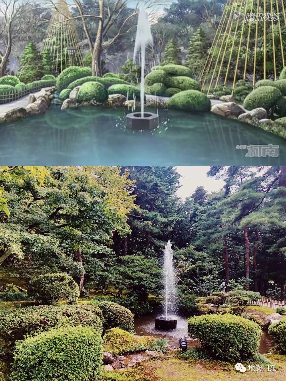 日本高品质小锦鲤,日本金泽市北陆